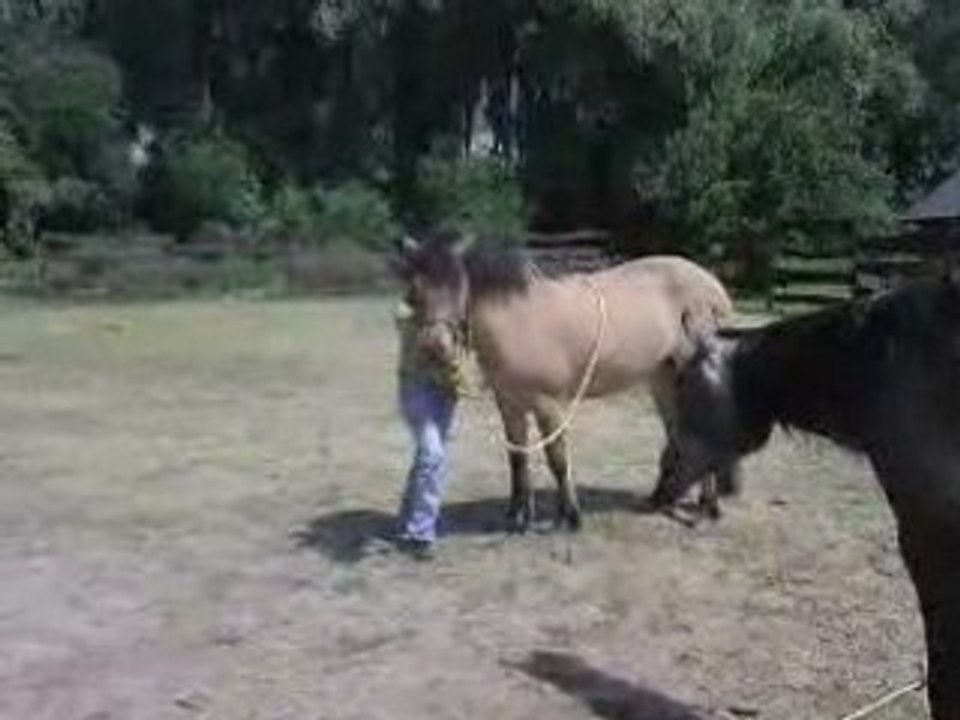 Reina etho juin06