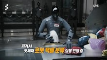 냉장고 '번쩍', 택배 분류도 '척척' 로봇 노동자 시대 임박? [앵커리포트] / YTN