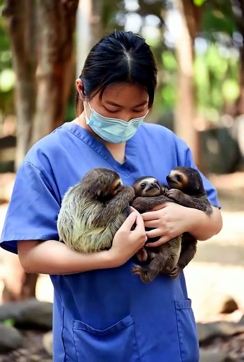 #zoocare