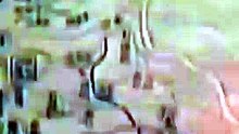 مسلسل من أحمق إلى أسطورة كامل