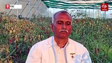 मेडिटेशन से खेती! 7 एकड़ में सहफसली उपज से सालाना 60 लाख कमाने का लक्ष्य, तरीका हैरान करने वाला