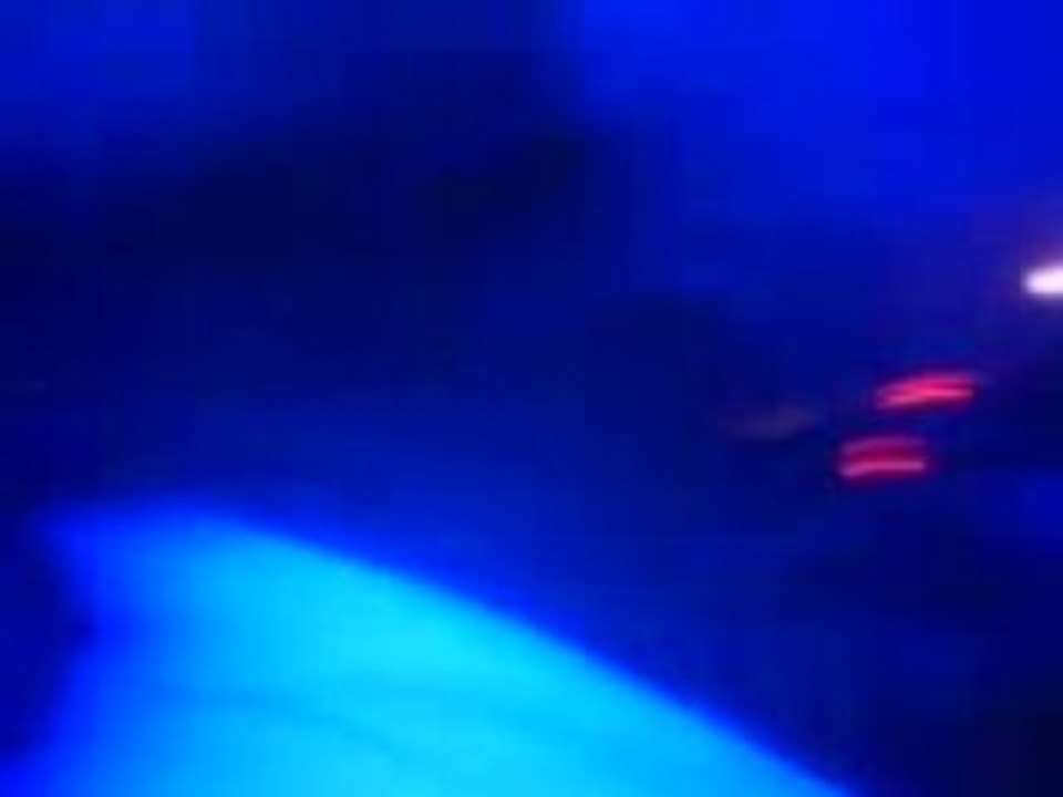 la bush 06/06/08 album release