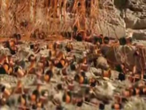 Sony Bravia Colorful Pyramid Cool Ads