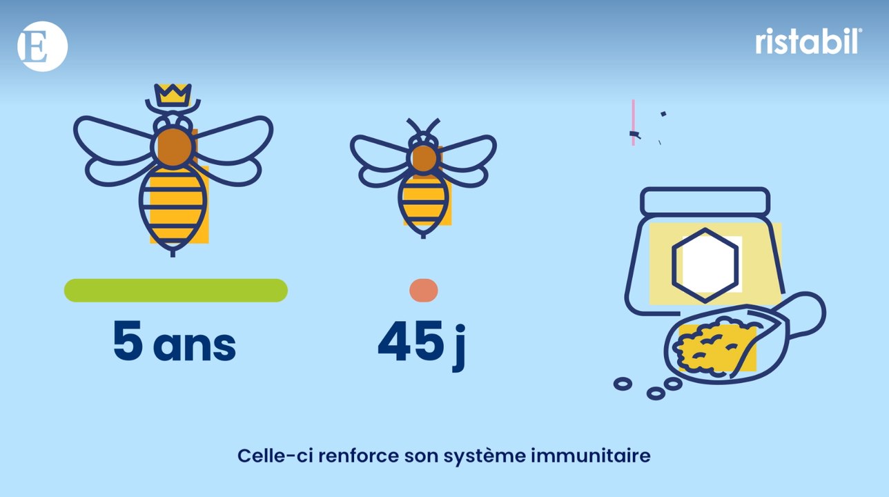 Une cure de gelée royale pour assurer son bien-être émotionnel