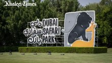Dubai Safari Park