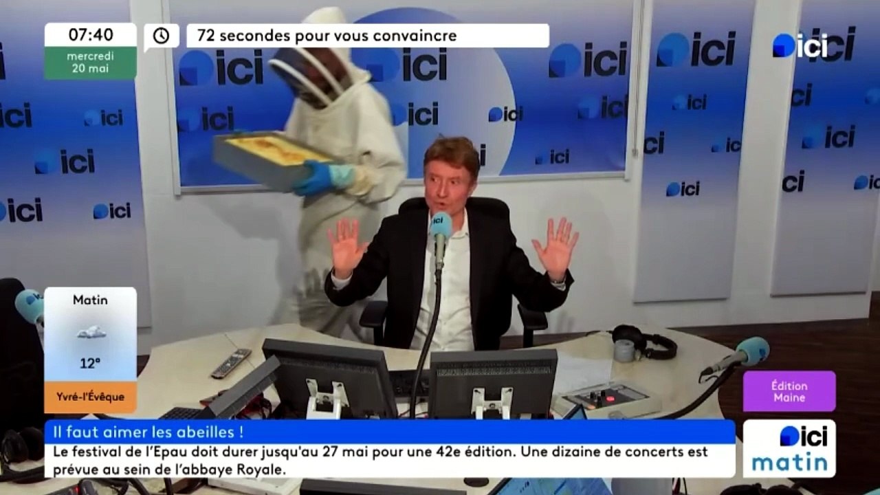 72 secondes pour vous convaincre d'aimer les abeilles