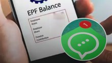 EPFO का बड़ा अपडेट, अब WhatsApp पर मिलेगी PF से जुड़ी ये जानकारियां