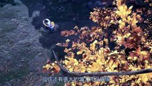 🍂Wanmei Shijie / Perfect World EPS 26 Sub Indo🍂