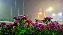 Neblina e frio marcaram o amanhecer desta quarta-feira em Cascavel