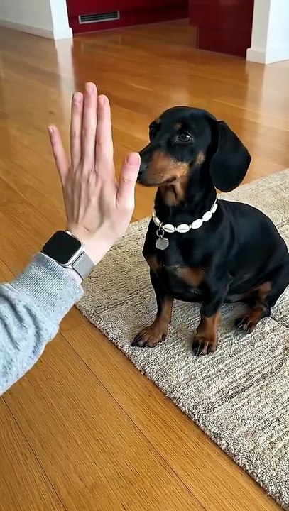 Ripley High Fives!