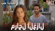 مشاهد الغزال