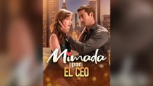 Mimada por el CEO (Español)