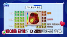 노화가 진행될 수록 밀도는 50% 감소ㅠㅠ 해마의 수상돌기의 노화를 늦춰라!