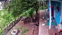 Malatya depreminden yeni görüntüler: Kediler bir anda ortadan kayboldu!