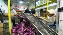 Dirty Chip Maker @ Dirty Jobs