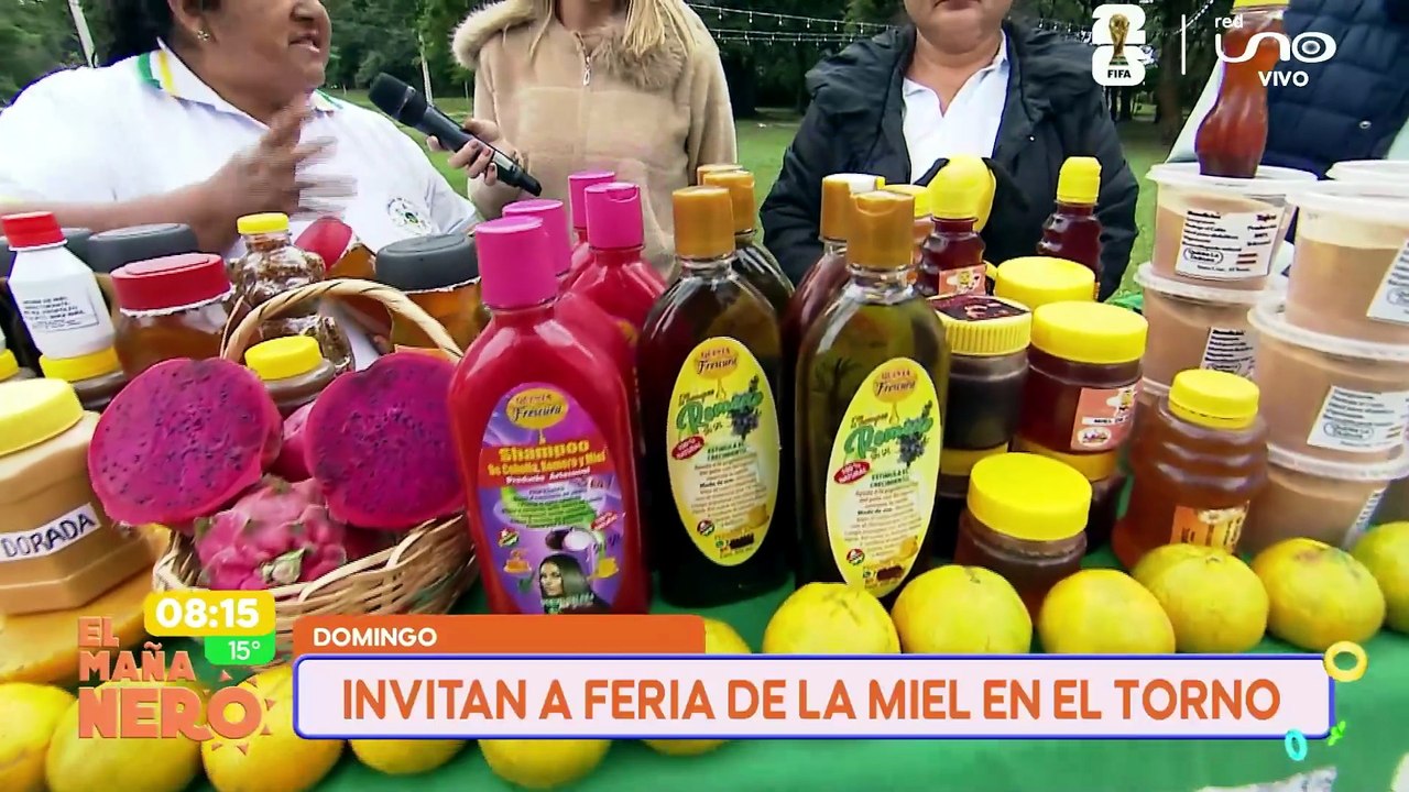 FERIA MIEL DEL TORNO