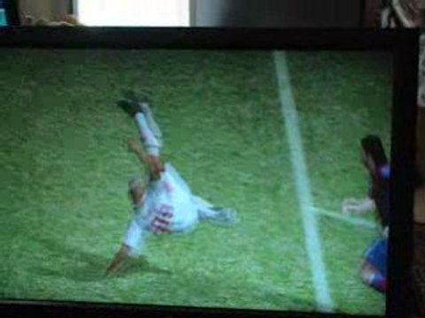 Bo jest par selem pes 2008