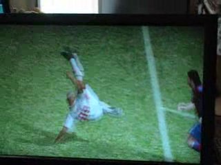 Bo jest par selem pes 2008