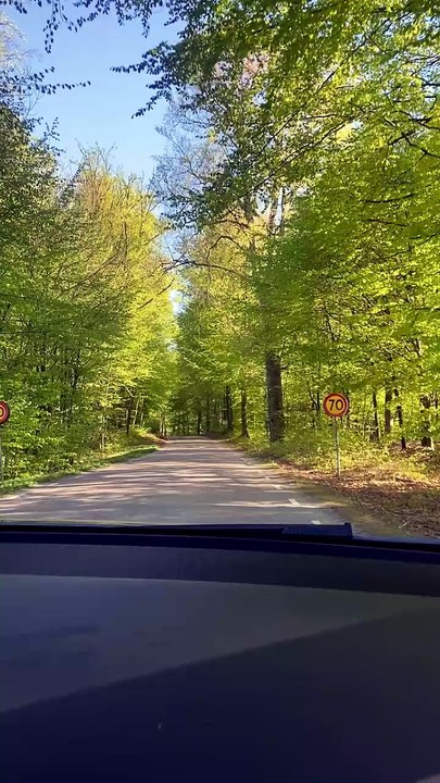 Riding through the woods