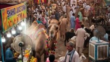 Camel Tries Cold Summer Drink 🐪😂 | Funny Eid Mandi Moment