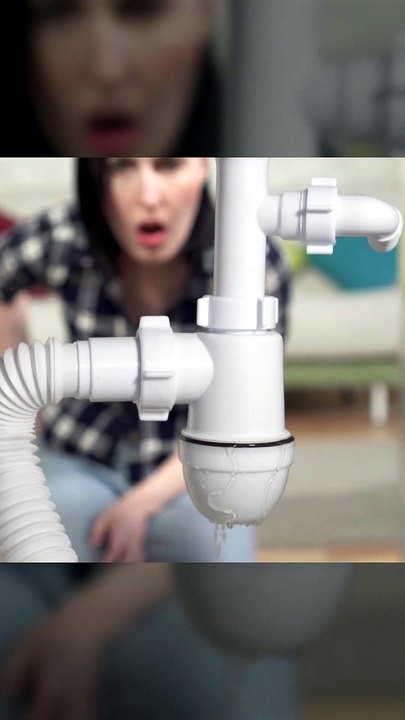 When Water Waits, Mold Moves In — Act Fast with Green Planet Restoration