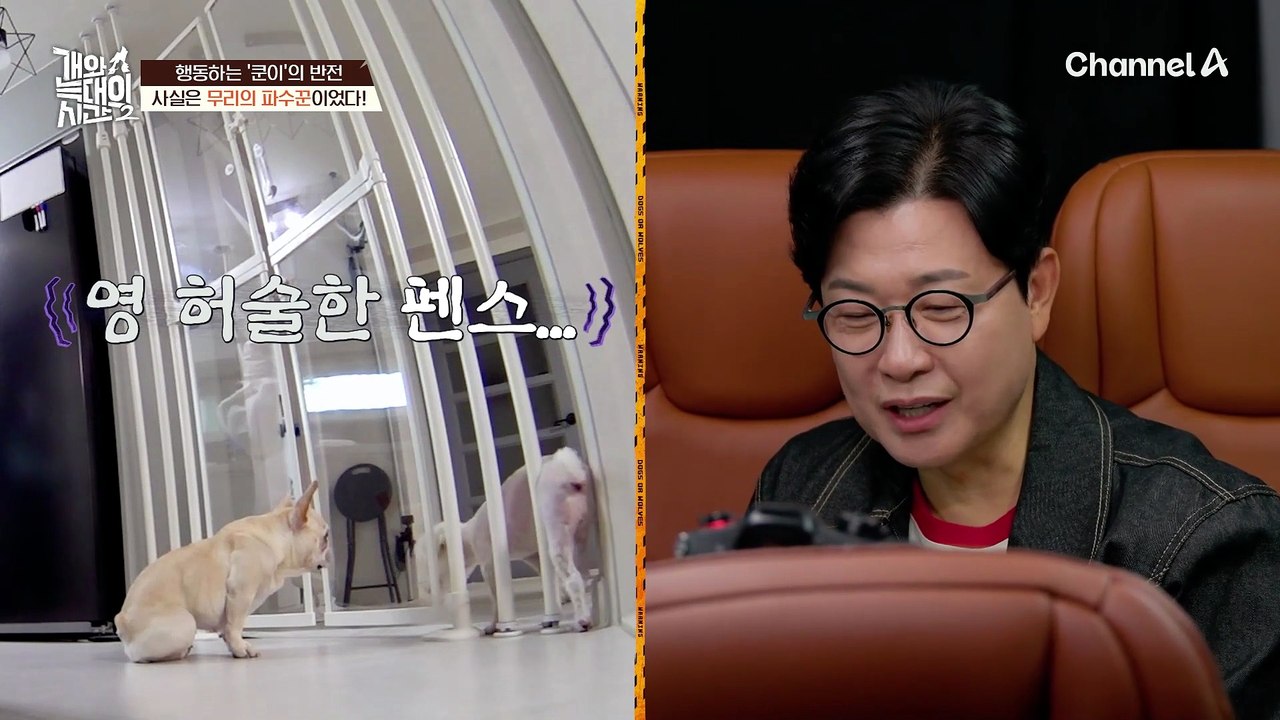 강형욱 훈련사 앞에서 결국 항문낭이 터졌다?! 늑대개 '강감자' 통제하기!