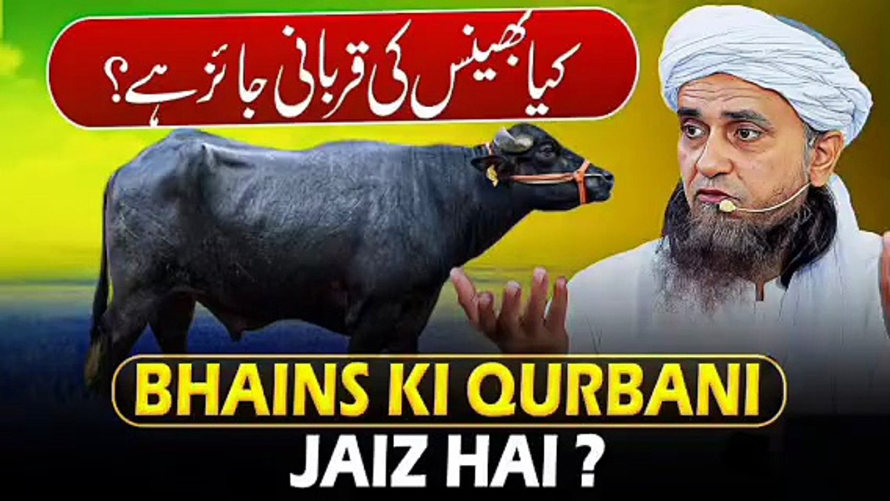 Bhains Ki Qurbani Jaiz Hai ? | Mufti Tariq Masood / Meraislamss