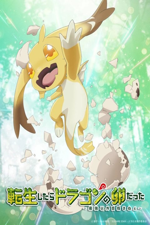 Reincarnated as a Dragon Hatchling (Tensei Shitara Dragon no Tamago Datta: Saikyo Igai Mezasanee) - Season 1 - Episode 11: I Caught Sight of the Mastermind