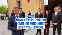 Magyar w Polsce. "Zaangażowanie Budapesztu może wzmocnić pozycję całego regionu"