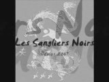 Team sangliers gris