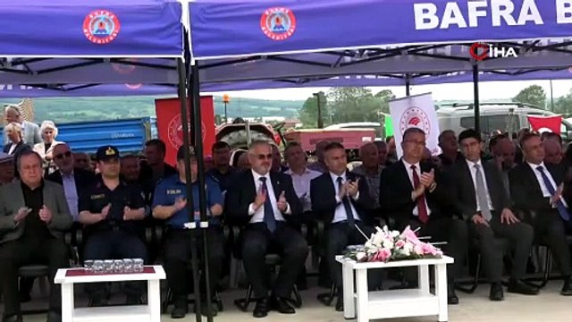 Bafra Ovası'nda çeltik mesaisi başladı: Üretimin kalbi yine Bafra