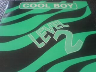 Level 2 - cool boy (club mix)