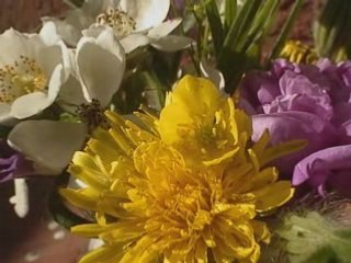 Simply Art by George Ulumboeli 🎨