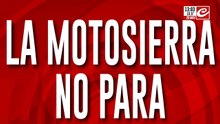 La motosierra no para: el desempleo tampoco