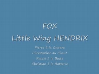 Fox Little Wing Hendrix