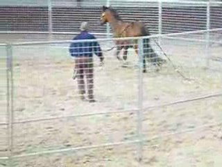 MONTY ROBERTS JUIN 08