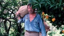 Le Sauvage - Yves Montand Catherine Deneuve 1975