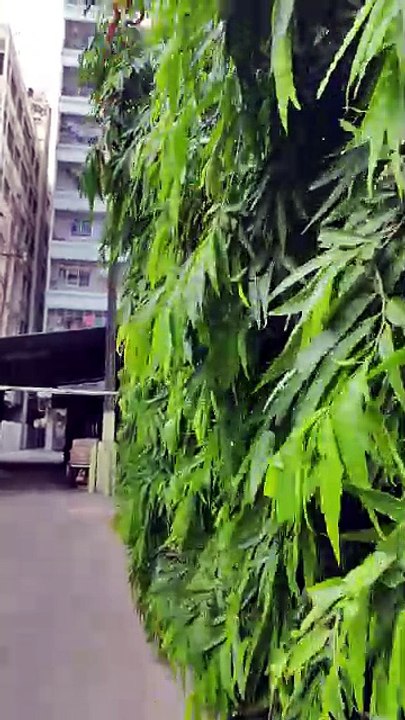 1000002563