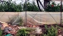 Anamur'da sağanak etkili oldu, sel suları yolu aştı, bahçeler sular altında kaldı