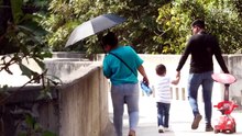 Cronica del dia I Colomos lll: un bosque en construccion