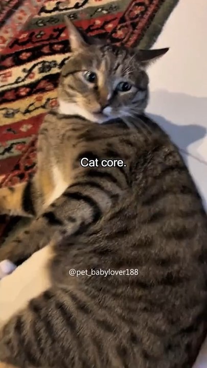 Cat core