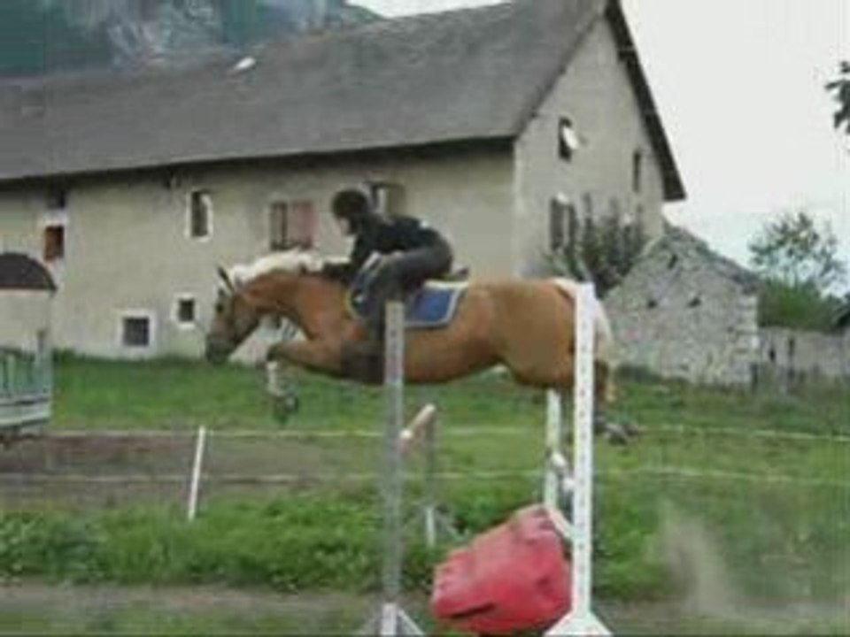 Seance d'obstacle 15 juin Ignes