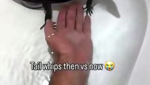 Monitör that lizard