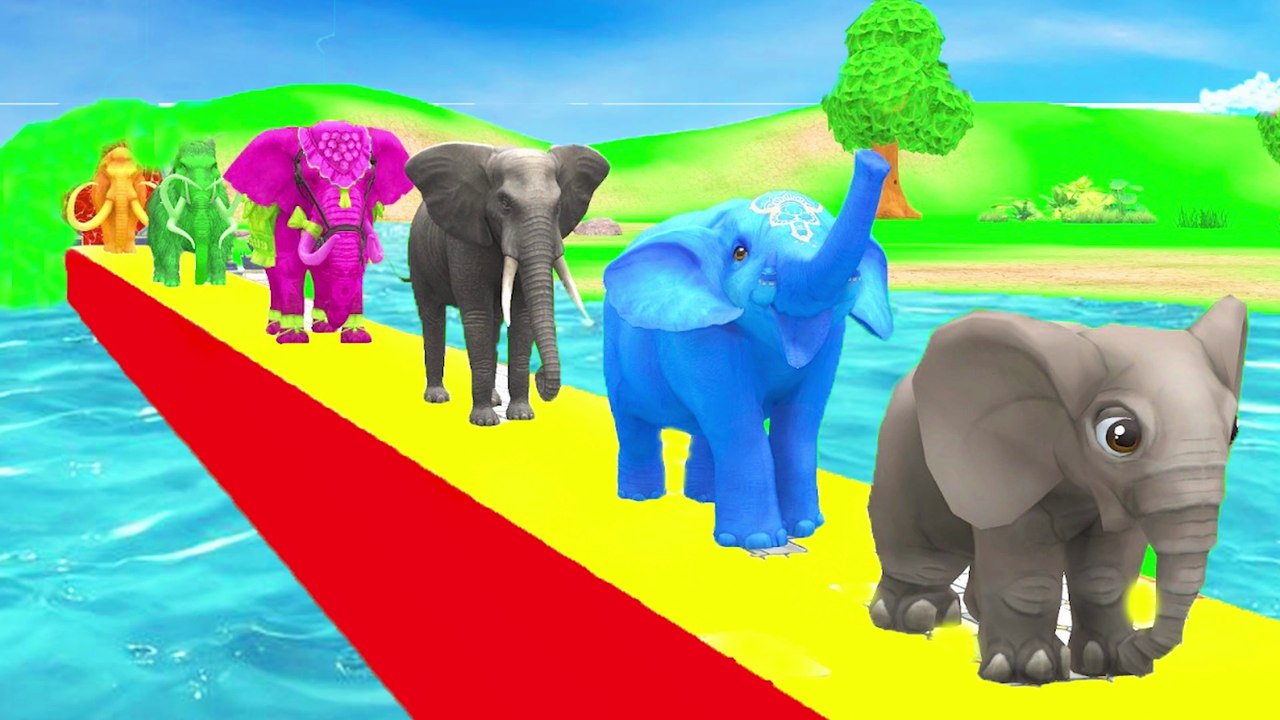 Paint Animals Mammoths and Elephants Size Comparison Fountain Crossing Animal Game Transformation thumnail