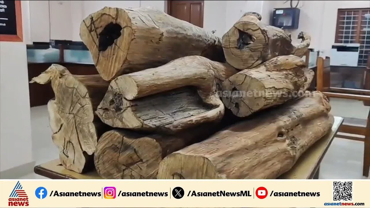 തിരുവനന്തപുരത്ത് വൻ ചന്ദന വേട്ട; 100 കിലോ ചന്ദന മുട്ടികൾ വനംവകുപ്പ് ഉദ്യോഗസ്ഥര്‍ കണ്ടെടുത്തു