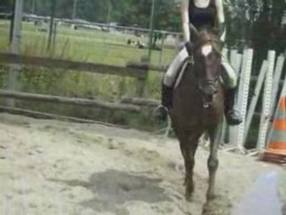 Reprise dressage club 2 grand prix g4