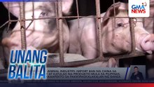 Bureau of Animal Industry - Import ban ng China sa mga baboy at katulad na produkto mula sa Pilipinas, hindi makakaapekto sa pakikipagkalakalan ng bansa | Unang Balita