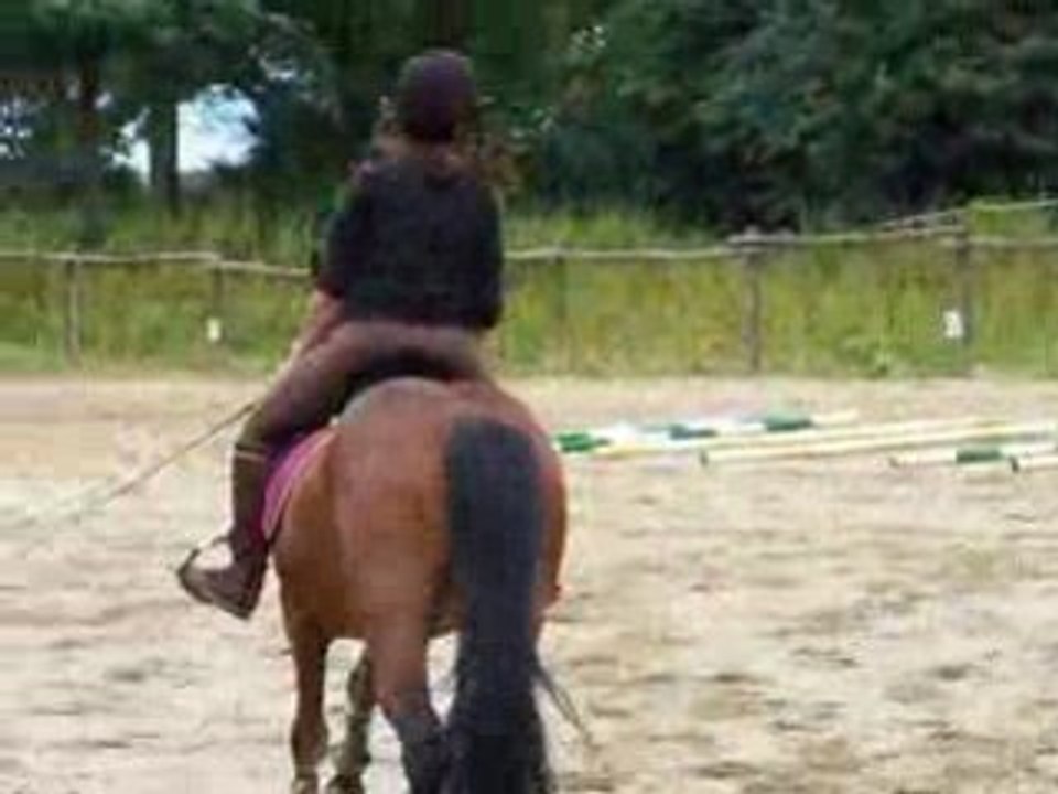 Eddy et moi sans filet galop