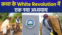 कच्छ के White Revolution में एक नया अध्ययाय: पशुपालकों के लिए कमाई का नया माध्यम बना Camel Milk