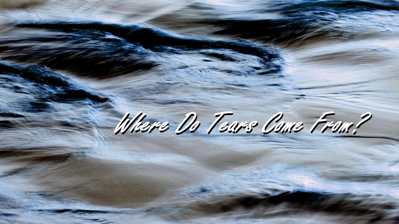 Sean Ferree - Where Do Tears Come From? (Official Music Video)